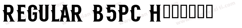 Regular B5pc H字体转换
